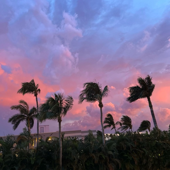 Meet your Posher, Jodi - Picture 6 of 6